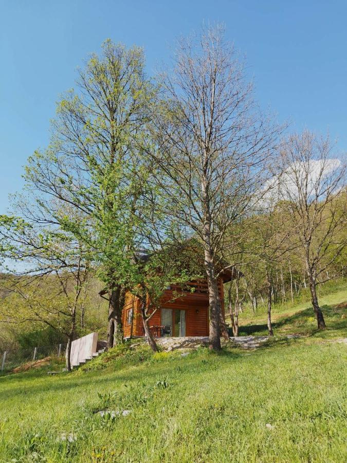 Kuca U Sumi - Forest House Near National Park Una - Air Spa Lohovo Bihać Eksteriør billede