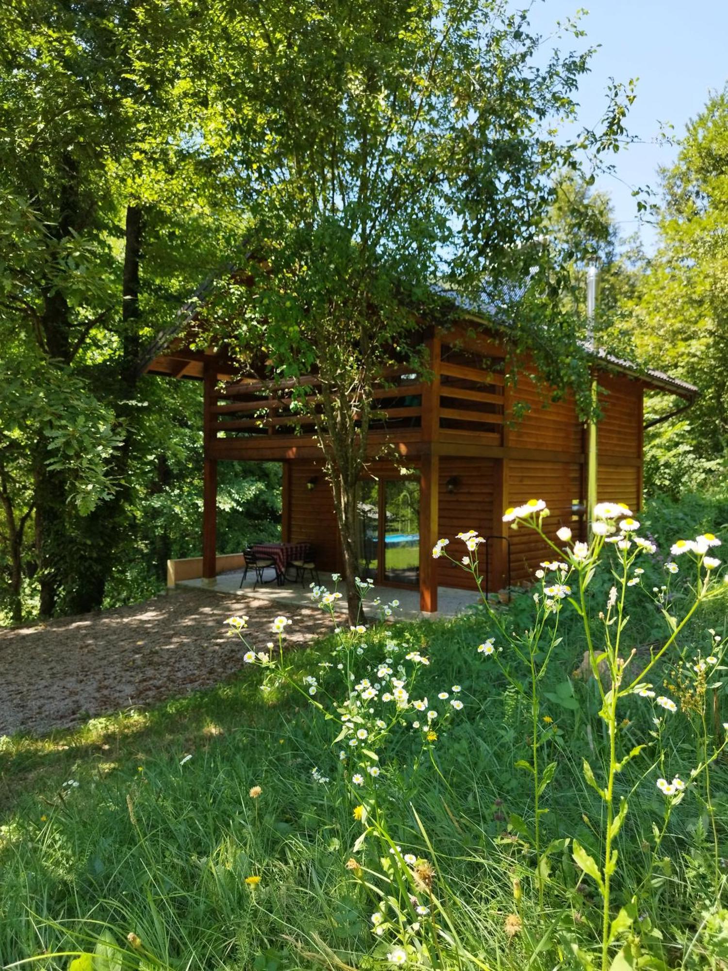 Kuca U Sumi - Forest House Near National Park Una - Air Spa Lohovo Bihać Eksteriør billede