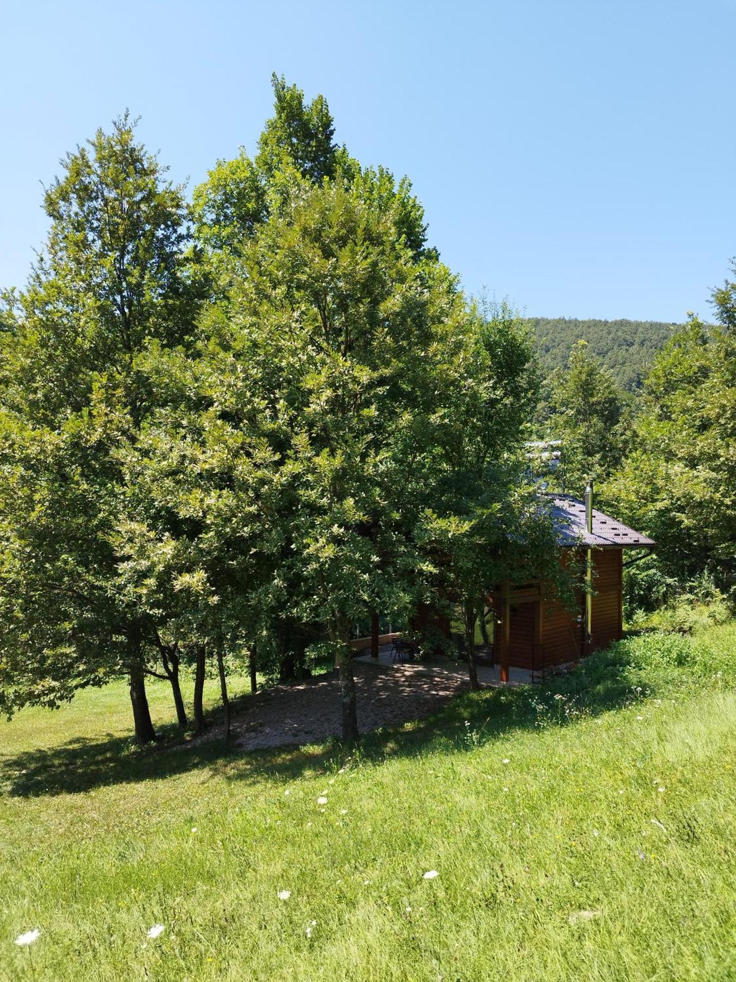 Kuca U Sumi - Forest House Near National Park Una - Air Spa Lohovo Bihać Eksteriør billede